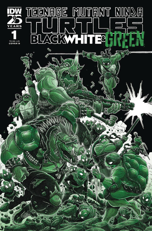 TMNT: Black White & Green #1 (2024) B Cover by James Stokoe