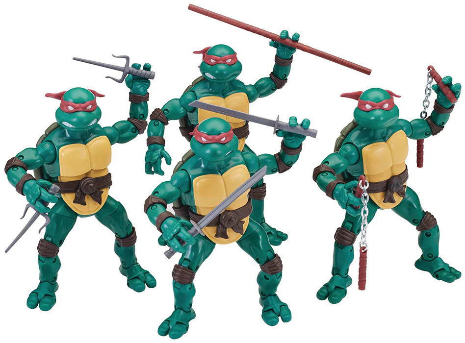 The Cano Turtle Crew