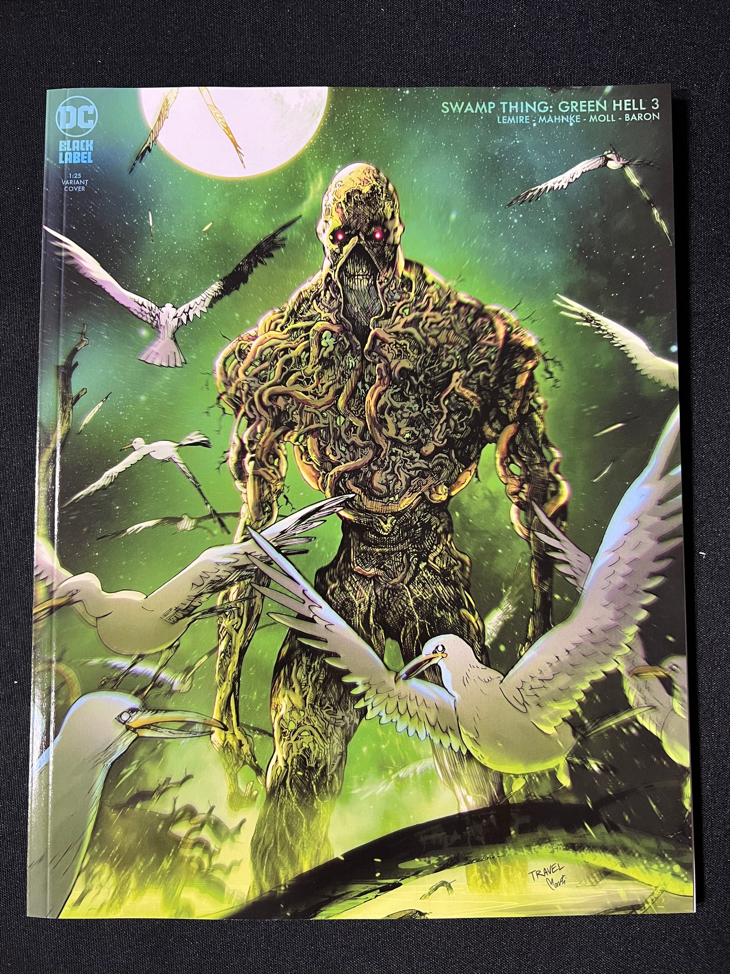 Swamp Thing Green Hell #3 1:25 Variant